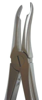 FORCEP Upper Root F-49
