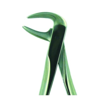 Forceps Lower Incisor & Root, Apical AF74N