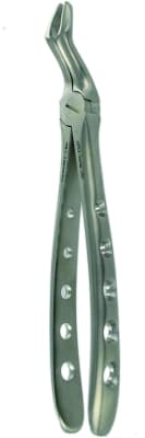 Forceps , Apical Apicak Beak Upper Wisdoms 6F