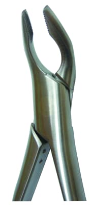 Forcep Apical Beak Lower Premolars F-151AF