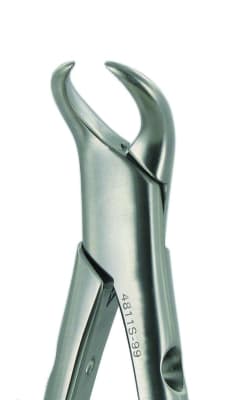 14811 Lower Molar  Cow Horn Forceps