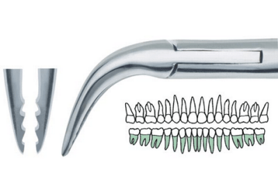 Lower Atraumatic Extraction Root Forcep With 