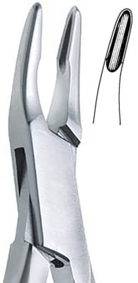 Gubia Fridman Salvin