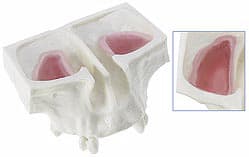 Drillable Sinus Lift Teaching Model