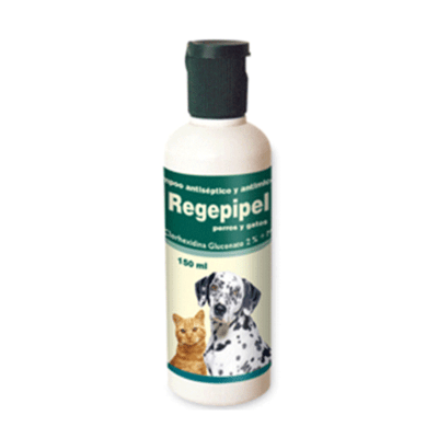 REGEPIPEL PLUS SHAMPOO1
