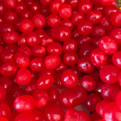 CHERRY SOUR 100G
