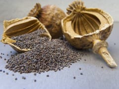 AMAPOLA 100G