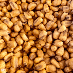 MAIZ FRITO CON SAL DE MAR 100G