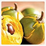 LUCUMA EN POLVO 50G