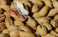 MANI CON CASCARA 100G
