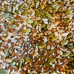 MIX SEMILLAS 100G