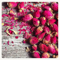 ROSA RUGOSA 50G
