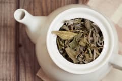 SALVIA 50G