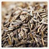 SEMILLA HINOJO 50G