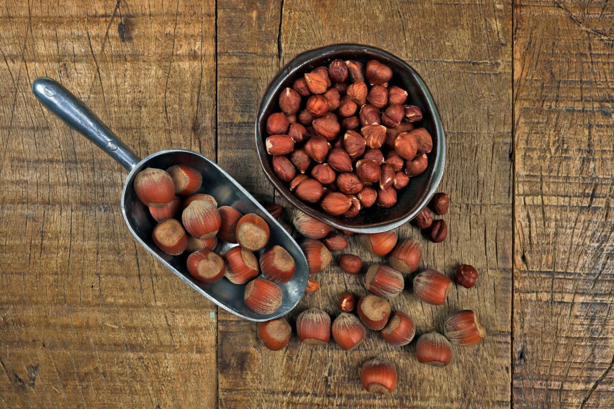 AVELLANAS EUROPEAS TOSTADAS 100G1