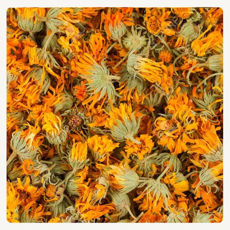 CALENDULA 50G1