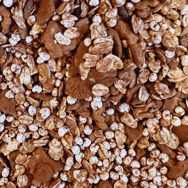 CHOCO GRANOLA 100G1