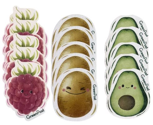 ESPONJA POP UP GREEN BRANDS1