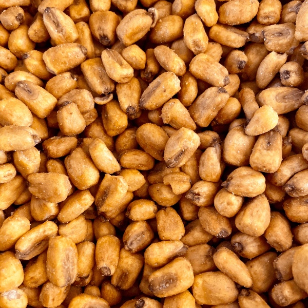 MAIZ FRITO CON SAL DE MAR 100G1