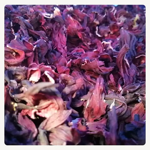 HIBISCUS 50G1