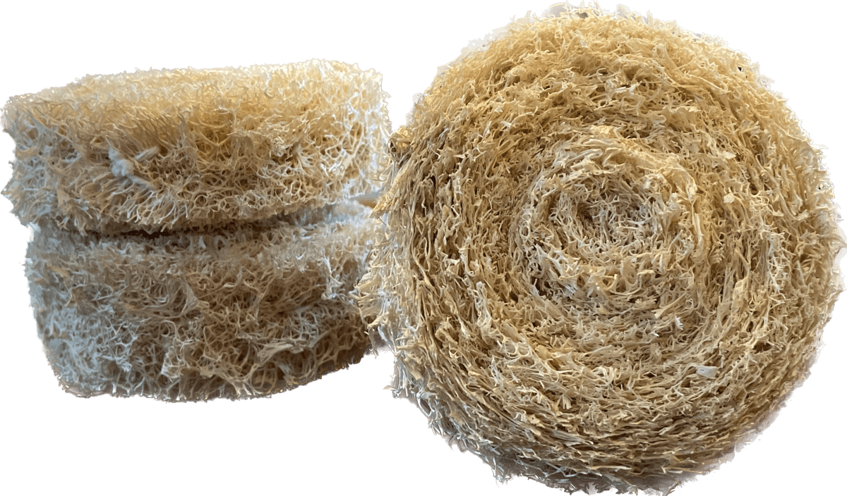 ESPONJA LAVALOZA LUFFA1