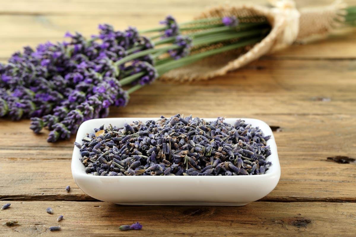 LAVANDA 50G1