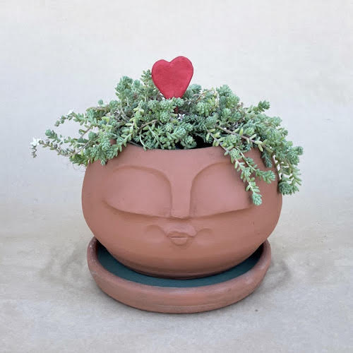 MACETERO 15CM CON PLATO2