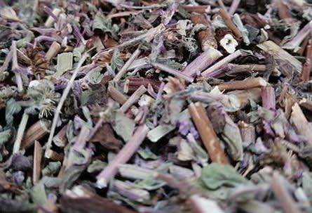 POLEO 50G1