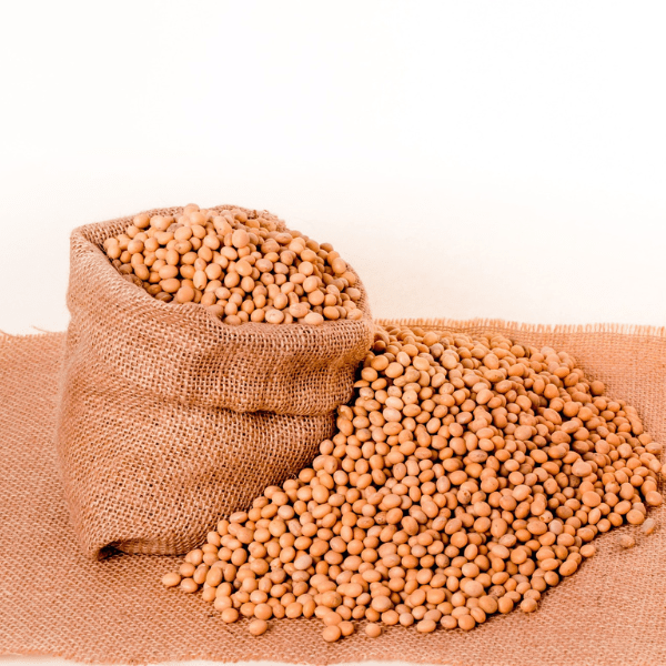 POROTO DE SOYA 100G1