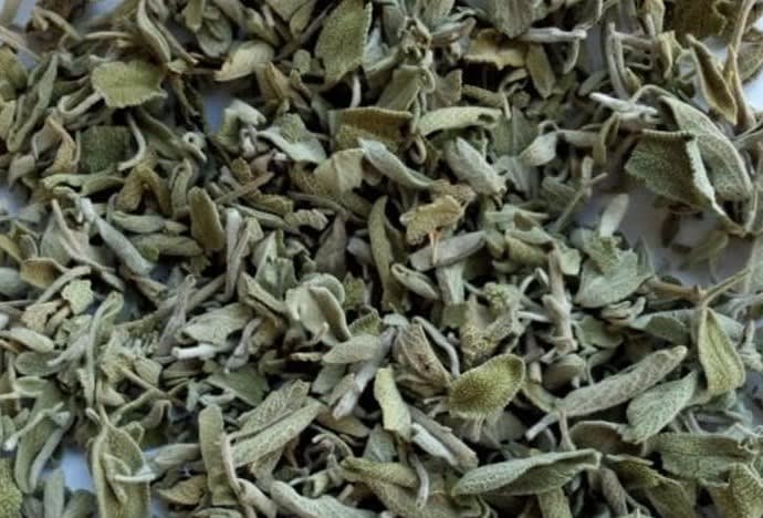 SALVIA 50G2
