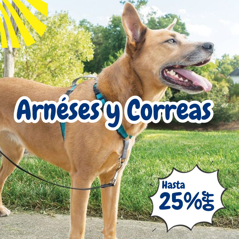 collection arneses de paseo