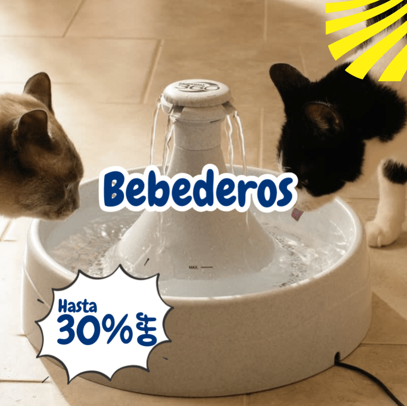 collection bebederos