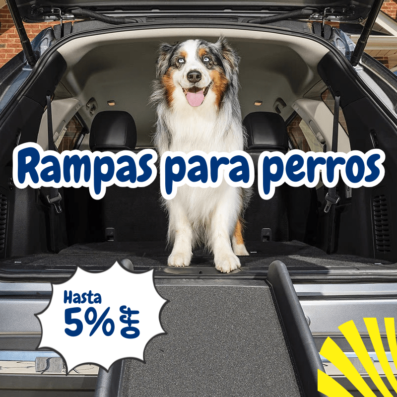 collection rampas y escaleras