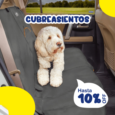 cubre asientos