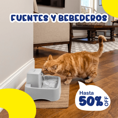 bebederos