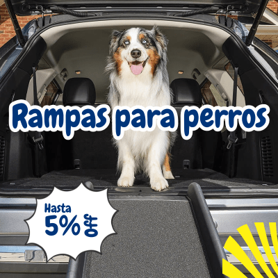 collection rampas