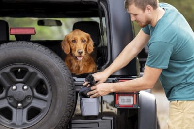 Contenedor basura magnético para auto