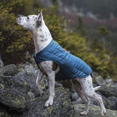 Chaqueta Loft impermeable Azul/Naranja