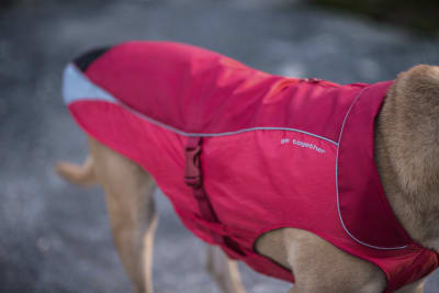 Abrigo impermeable North Country Rojo