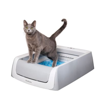 Caja de arena autolimpiante ScoopFree