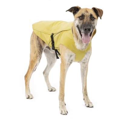 Chaqueta Impermeable para Perros Halifax