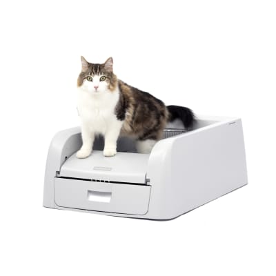 Caja de arena autolimpiante ScoopFree Clumping