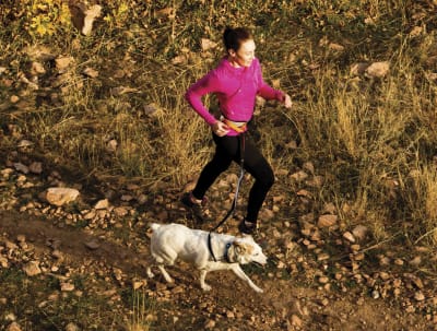 Correa bungie Springback 122 cm