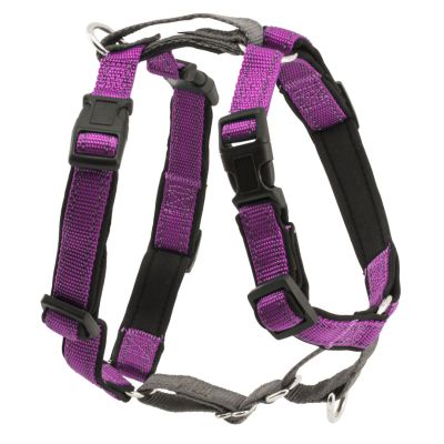 Arnés 3 en 1 Morado
