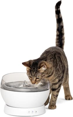 Fuente inalámbrica HydroSphere