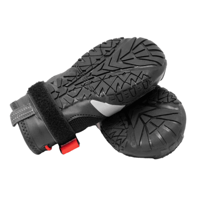 Zapatilla Blaze Dog Boots