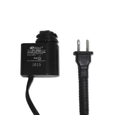 Bomba Fuente Perro Grande