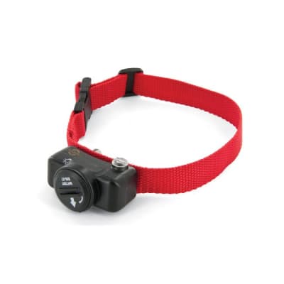 Collar extra Perro Mediano a Pequeño