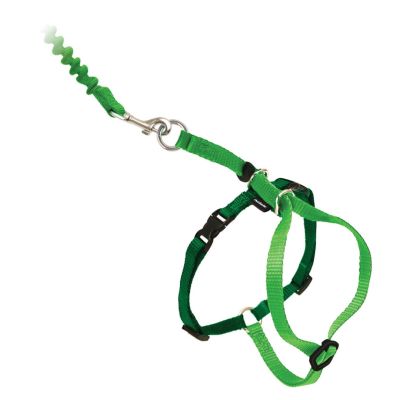 Arnés Verde para Gato