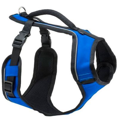 Arnés Easy Sport Azul